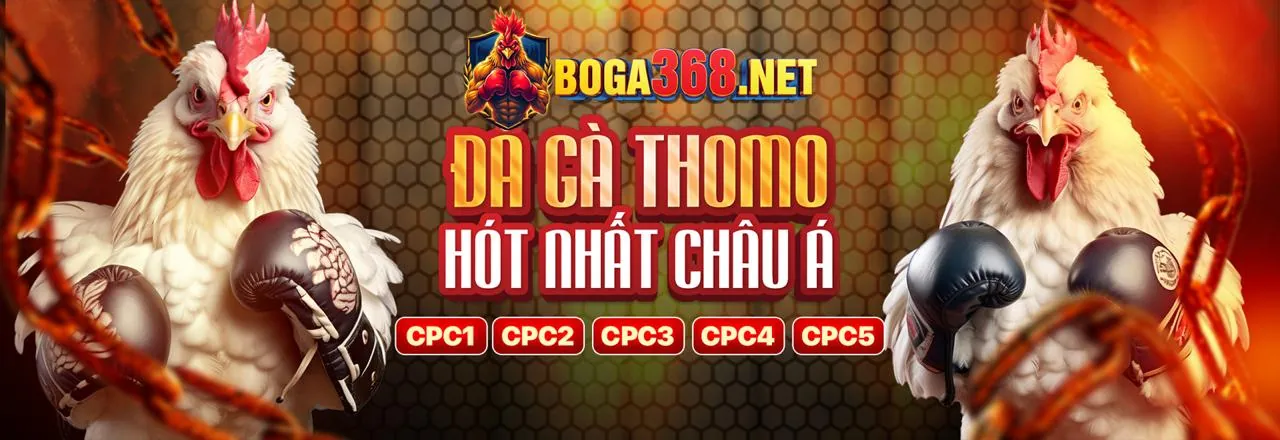 Hình ảnh chính VB66 Login Câu Hỏi Thường Gặp